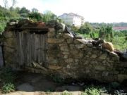 Puerta del huerto. Villanueva de la Vera, Cceres
